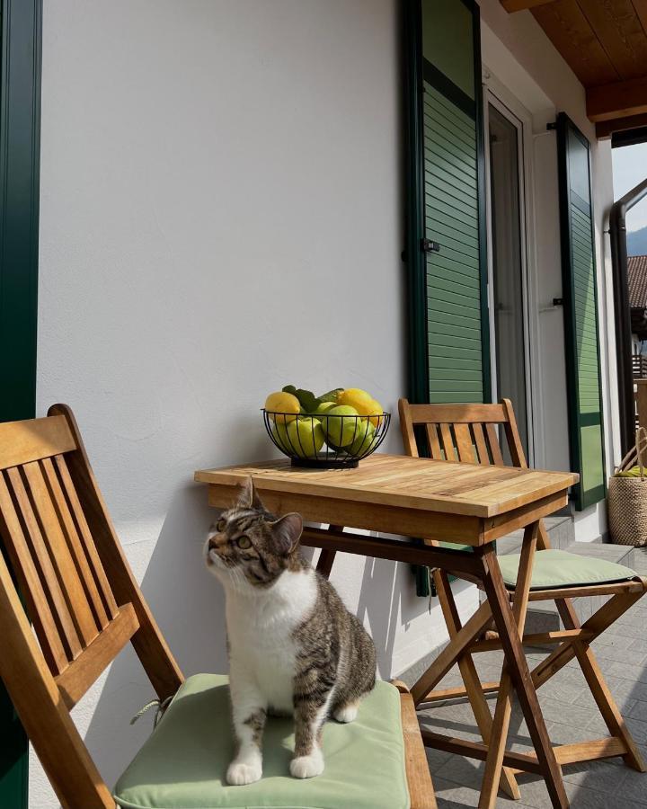 B&B La Casa Del Sole Ziano Di Fiemme Ngoại thất bức ảnh